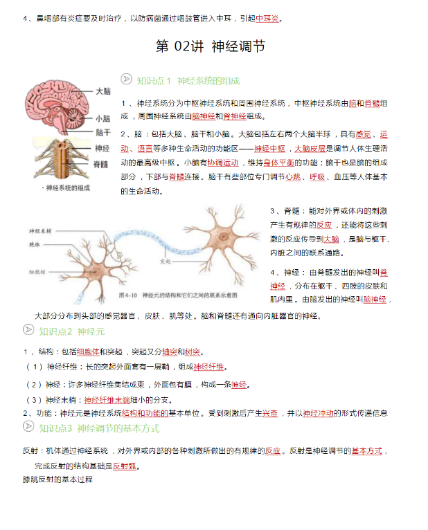 初中生物全年级 预览第1张