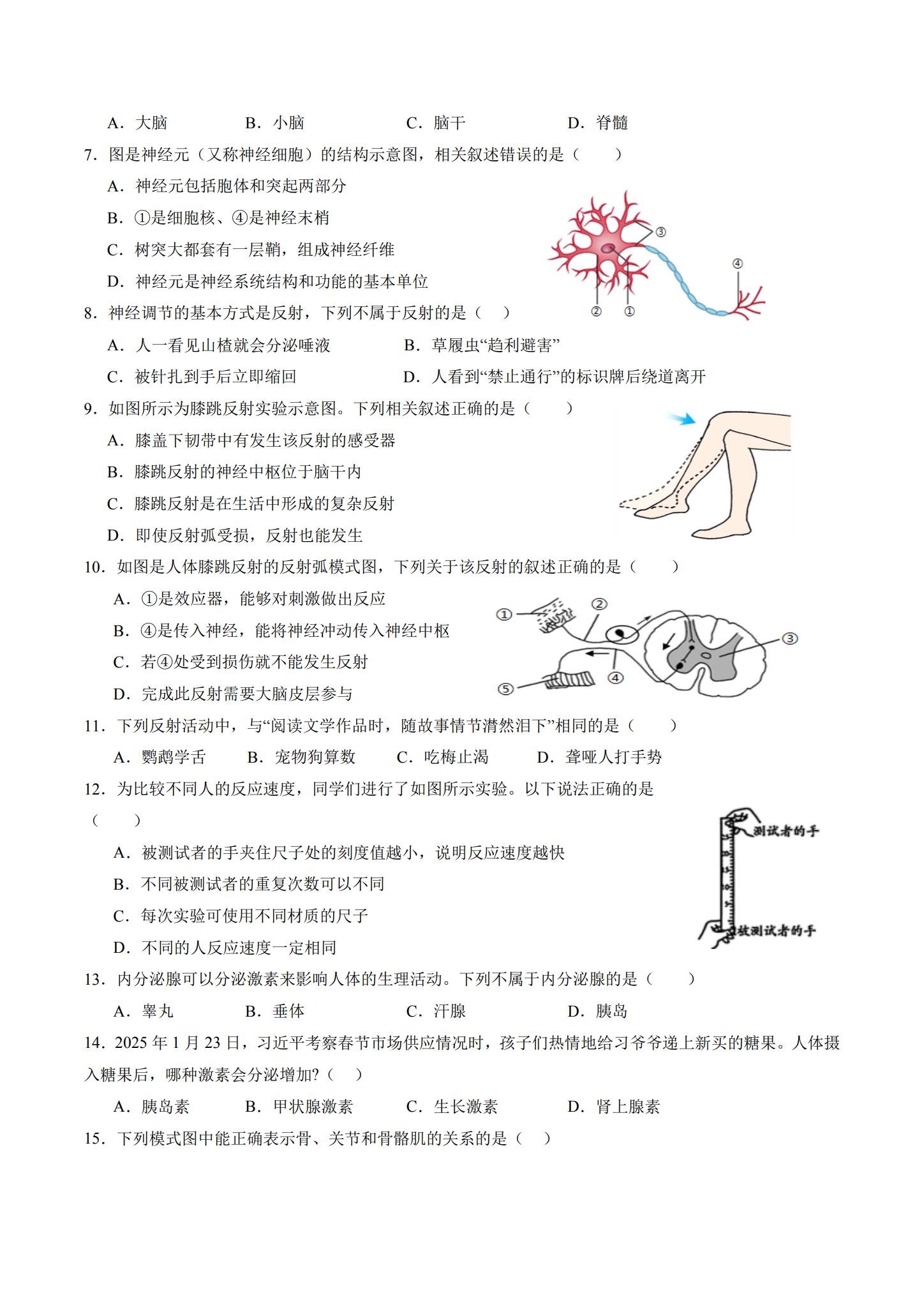 [八年级生物]（上）期中测试 预览第2张