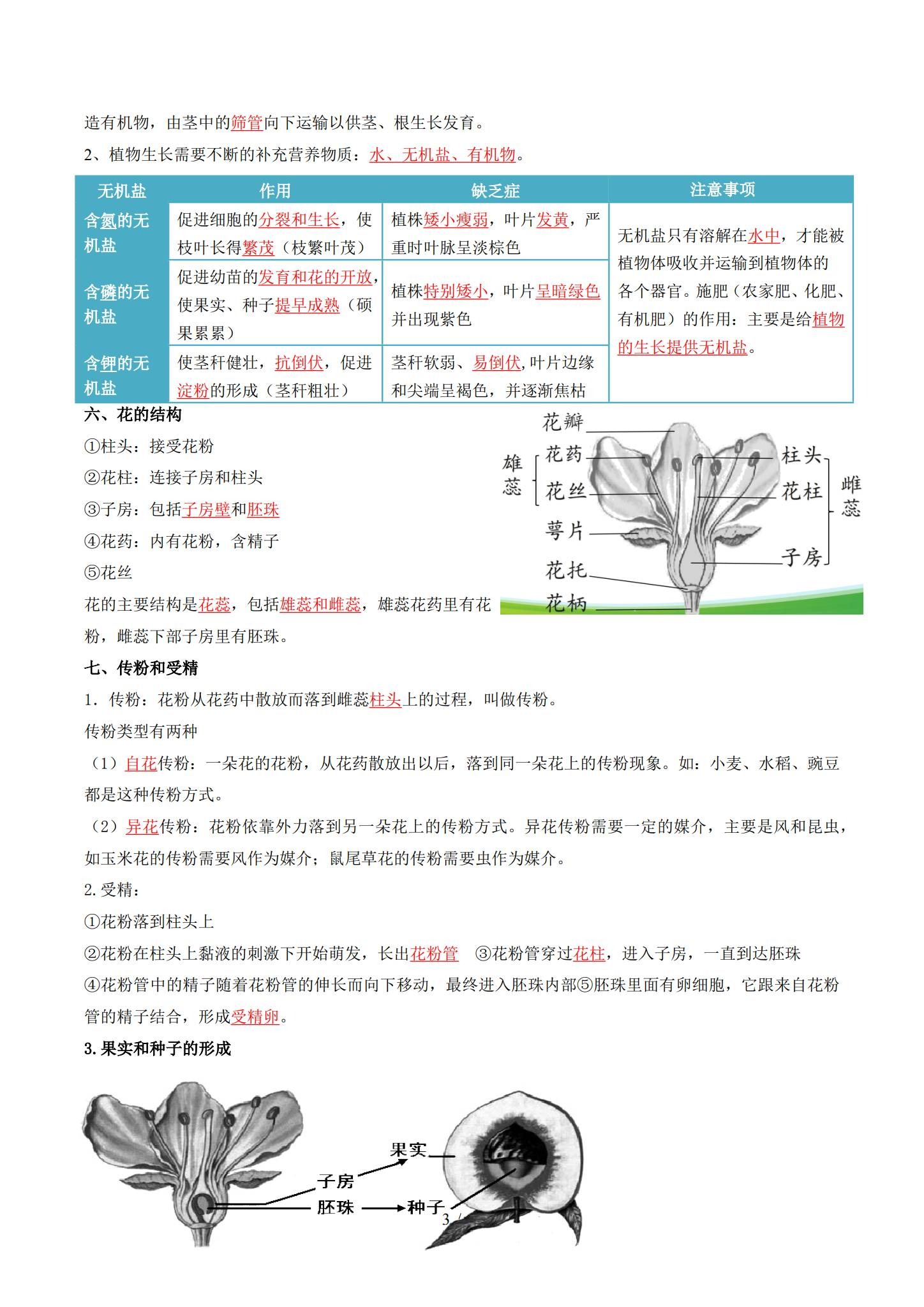初中生物全年级 预览第3张