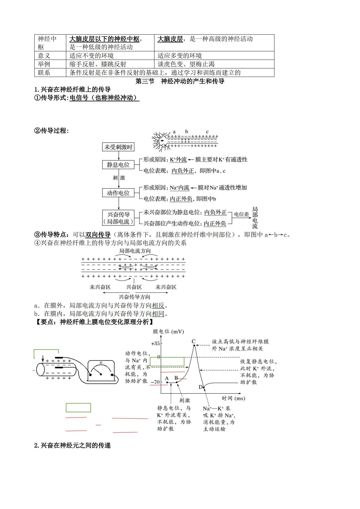 人教版｜高一、高二、高三生物｜选修1｜知识汇总 预览第3张
