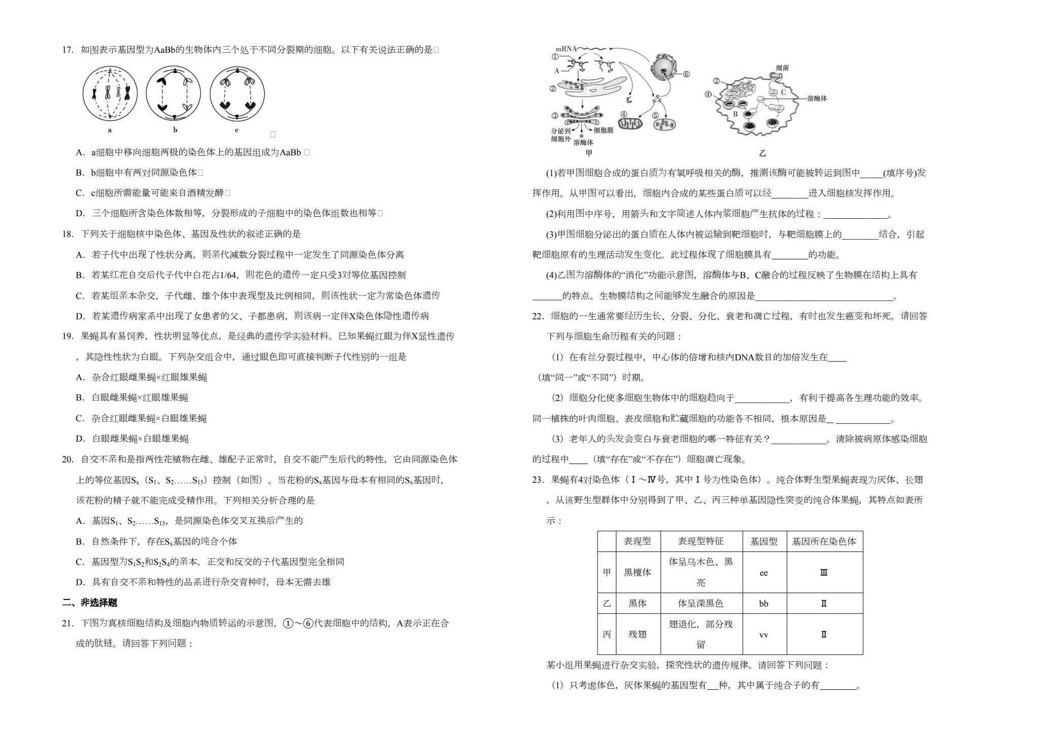 [高中生物必修2]月考试卷 预览第3张