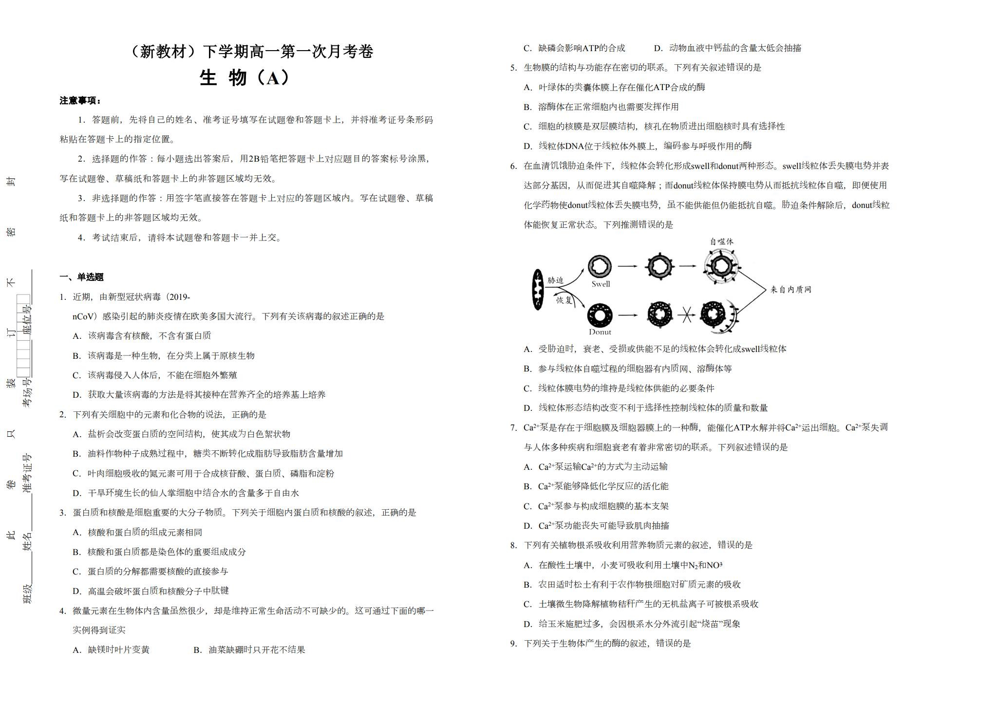 [高中生物必修2]月考试卷 预览第1张