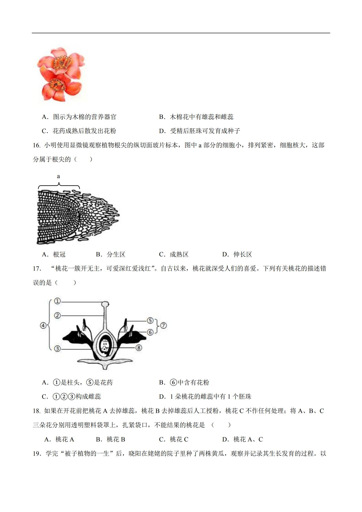 [七年级生物]（下）一课一练 预览第3张