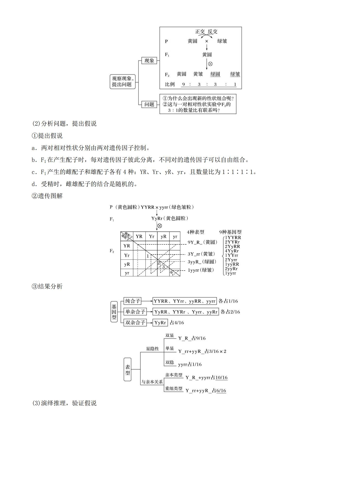 [高中生物必修2]知识汇总 预览第2张