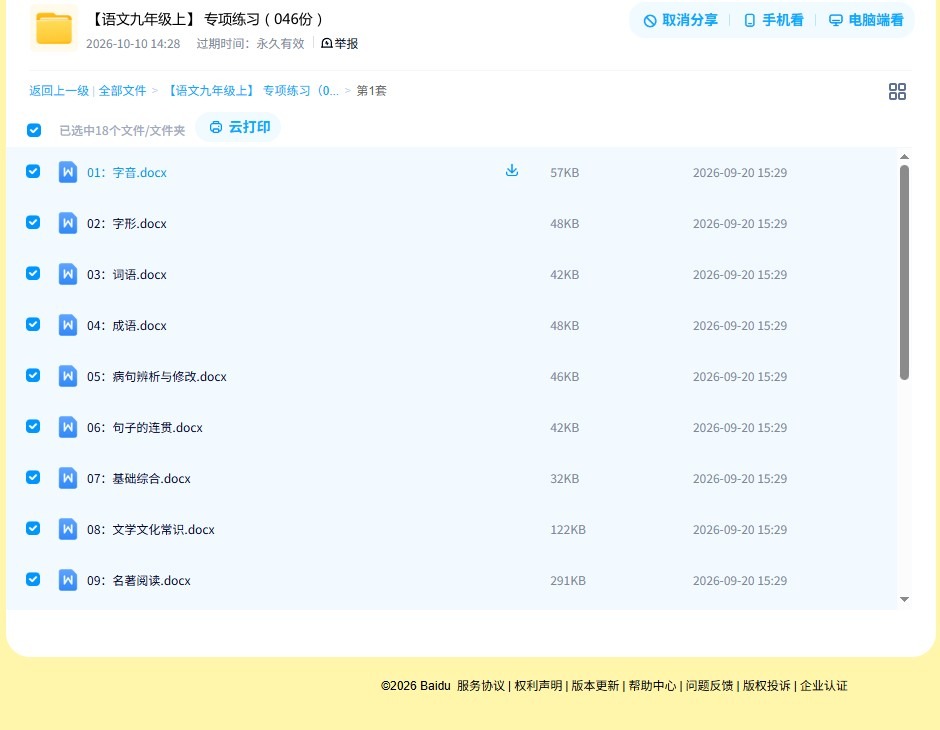 所有版本｜九年级语文｜上册｜专项练习 预览第4张