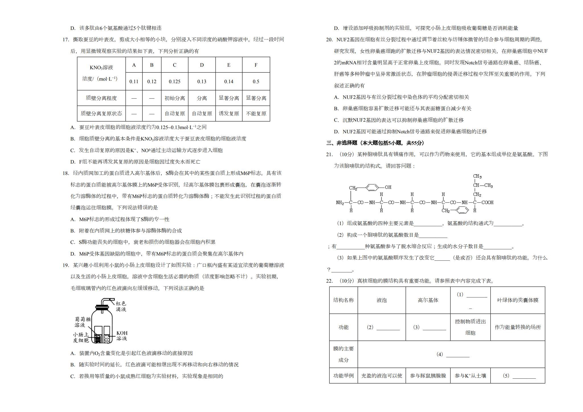 [高中生物必修1]期末测试 预览第3张