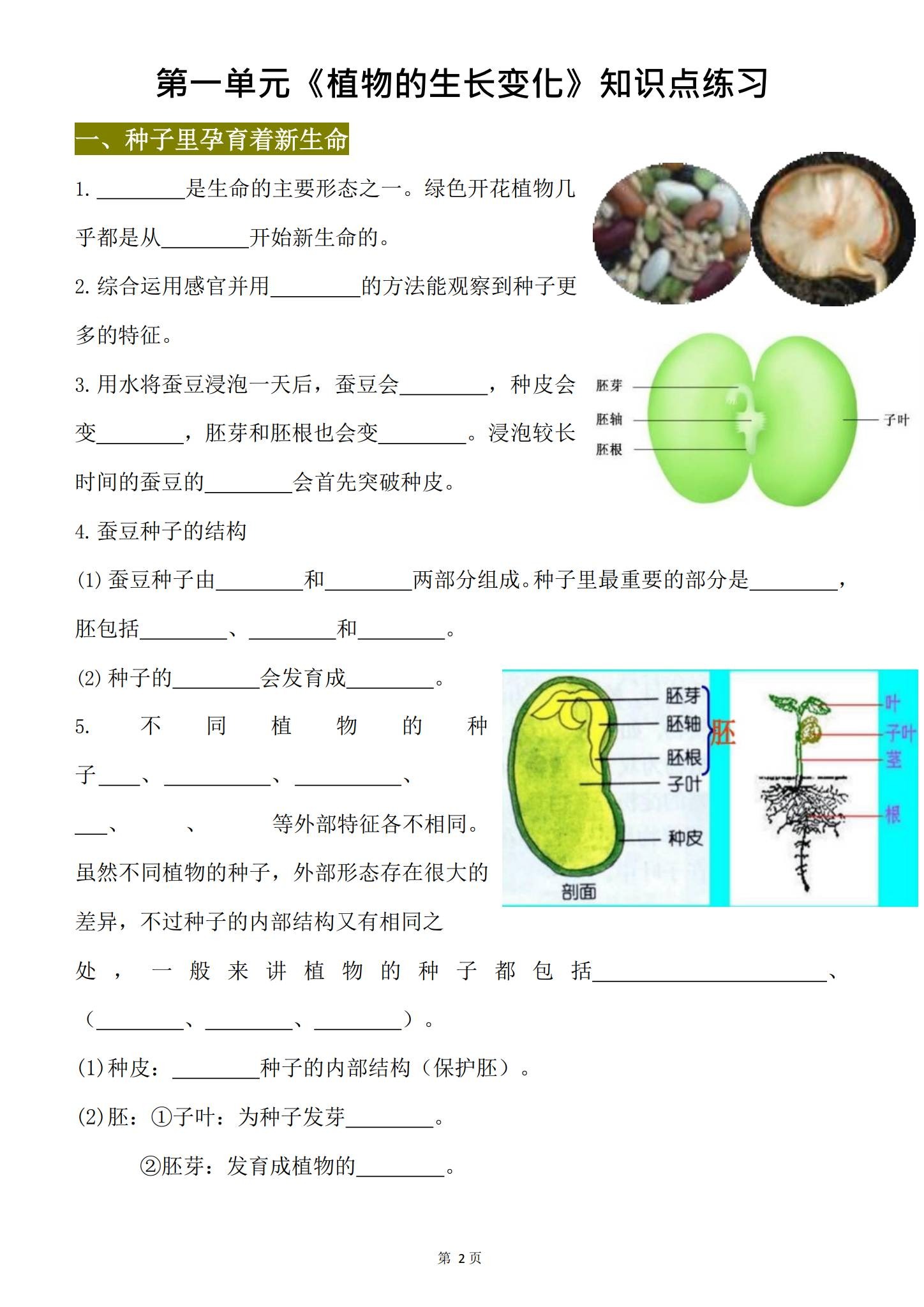 [四年级科学]（下）知识汇总 预览第2张