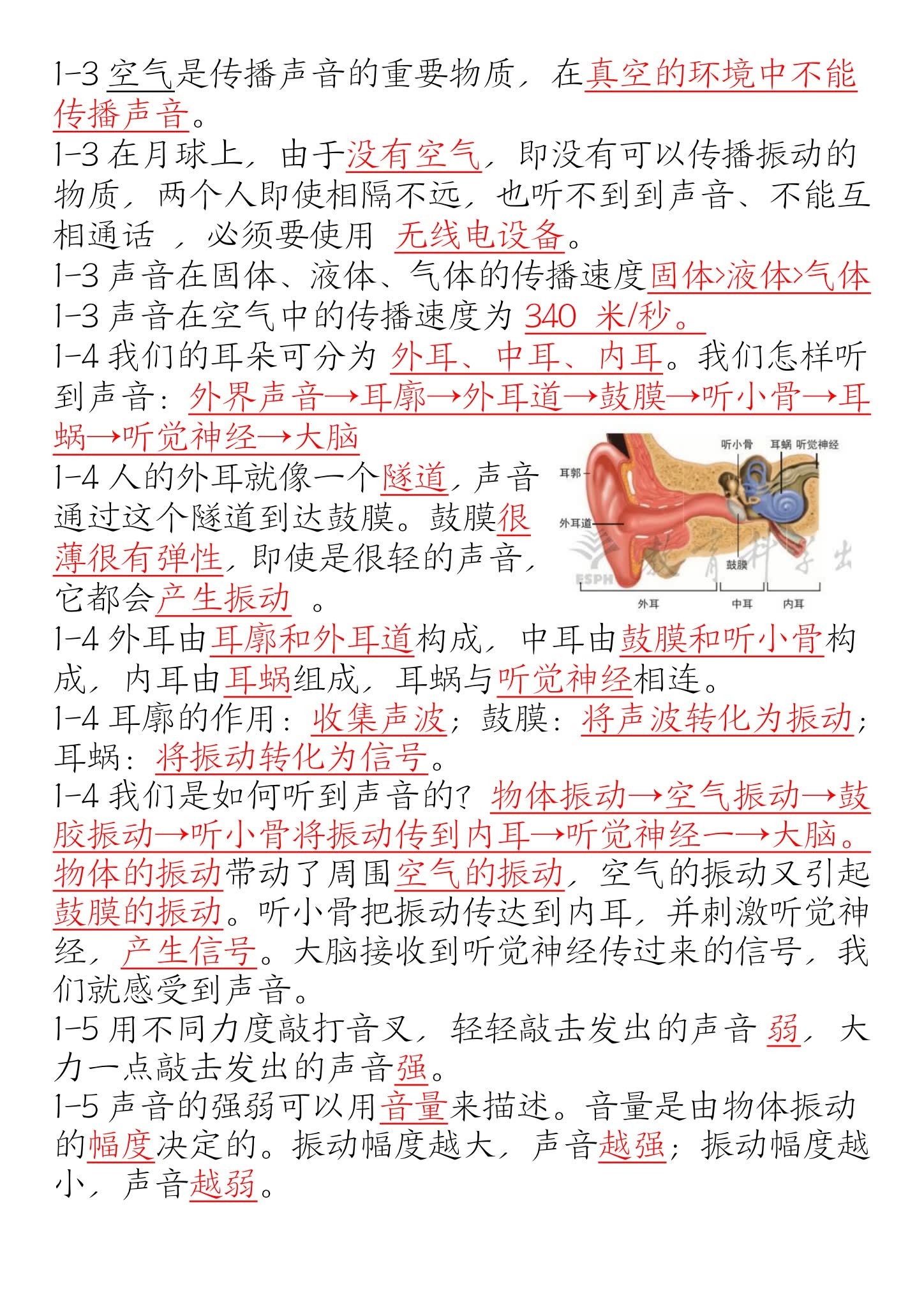 [四年级科学]（上）知识汇总 预览第2张
