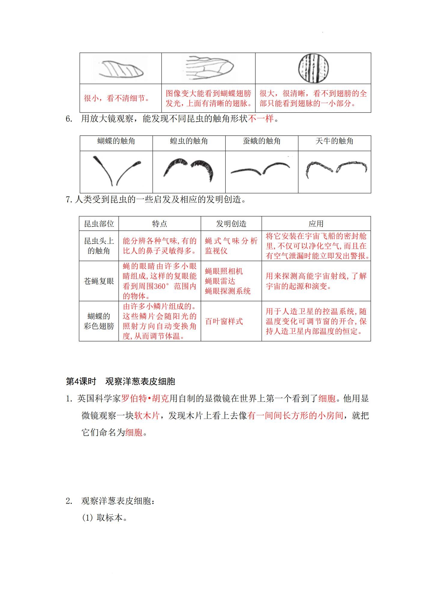 [六年级科学]（上）知识汇总 预览第3张