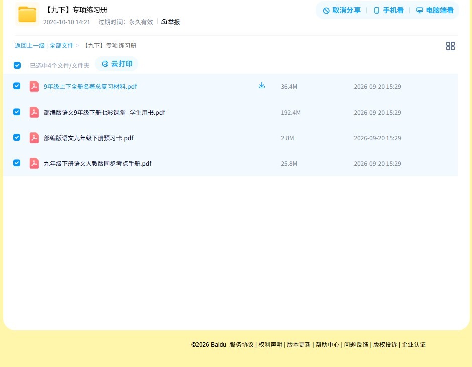 [九年级语文]（下）专项练习 预览第4张