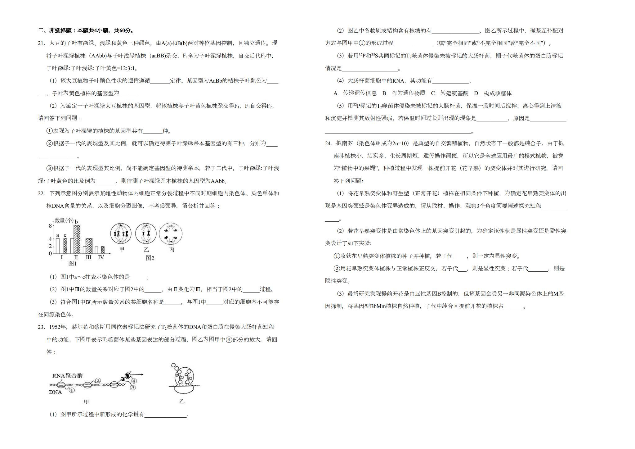 [高中生物必修2]期末测试 预览第3张