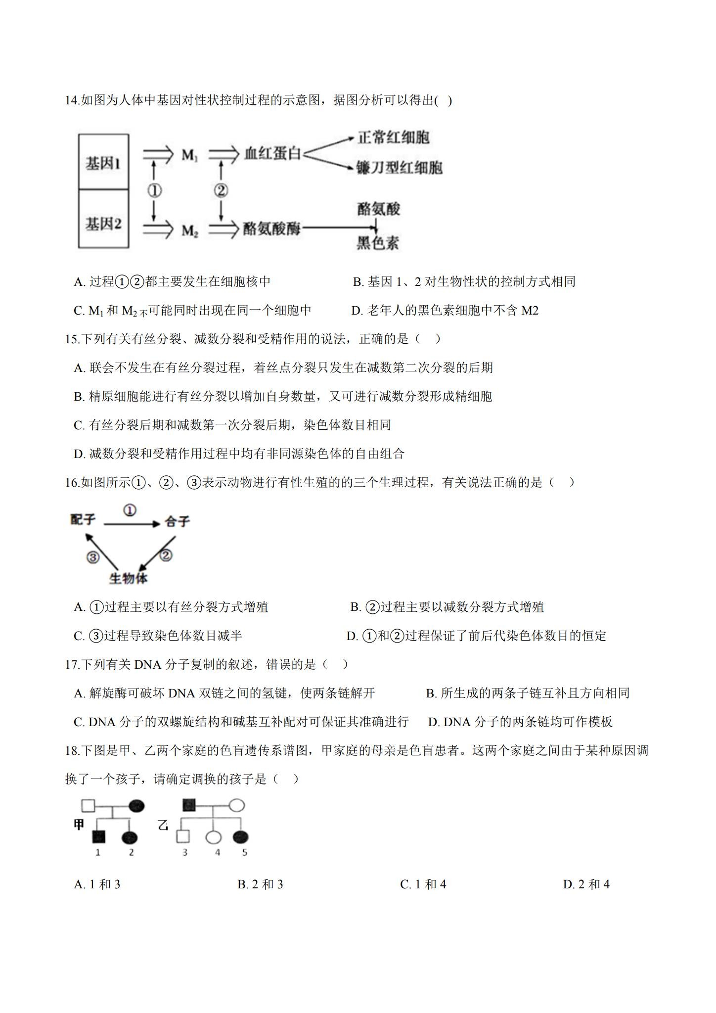 人教版｜高一、高二、高三生物｜必修2｜期中测试 预览第3张